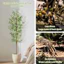 Artificial Olive Tree, 6FT Tall Faux Olive Trees 72in Outdoor Fake Potted Silk Plant with Trunk and Realistic 648 Leaves and 24 Fruits for Modern Office Home Decor Indoor1pack