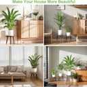 3-Pack Wood Plant Stands Indoor, Single Plant Stand for 6-12 Inch Pots, Mid-Century Modern Plant Stool, Tall Plant Stand for Large Plants Perfect Fit for Living Room, Balcony, Office