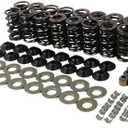 NEXAGEBIUS 660" BTR Brian Tooley Racing LS Dual Valve Spring Kit with Steel Retainers SK001 SK001S Compatible with LS1 LS2 LS3 LS4 LS6 L76 L92 L99 LQ4 LQ9 L33 LSA 4.8L 5.3L 5.7L 6.0L 6.2L