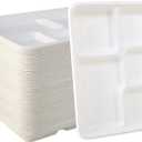 Vplus 500 Pack 5 Compartment Plates, 100% Compostable Paper Plate, 10.25x8.5 inch Disposable School Lunch Trays, Eco-Friendly Bagasse Plates for School Lunch, Buffet, and Party, Perfect for Kids