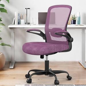 Office Chair, Ergonomic Desk Chair with Adjustable Lumbar Support, High Back Mesh Computer Chair with Flip-up Armrests-BIFMA Passed Task Chairs, Executive Chair for Home Office
