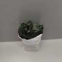 iunio Camo Netting, Camouflage Net, Bulk Roll, Mesh, Cover, Blind for Hunting, Decoration, Sun Shade, Party, Camping, Outdoor (4.9ft*16.4ft (1.5m*5m), Dark Green)