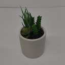 HD Deisigns Faux Succulent Greenery - 6-inch pot