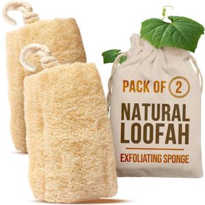 CraftsOfEgypt Natural Loofah Sponge  Egyptian Luffa Body Scrubber Pack of 2 for Men & Women, Natural Bath & Shower Loofah Exfoliator, All Natural Loofah Sponges for Face Back & Body, 6" x 6"