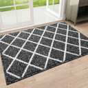Finchitty Indoor Door Mat, Dirt Resistant and Absorbent, Low-Profile, Non-Slip, Washable Inside Floor Mats for Front Door, Back, and Entrance, 32" x 20", Black