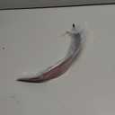 NVCNX Headlight Eyebrow Eye Lid Protection Decoration for BMW 4 Series F32 F33 F36 Car Headlamp Eyelid Strip Glossy Black Exterior Accessories for M3 M4 F80 F82 F83 (Piano Black)