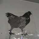 4 Pack Chicken Garden Decorative Statues, Metal Hen and Chicks Silhouette Garden Stakes, Ideal Yard, Garden, Lawn Decor, Animal Outdoor Decorations