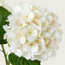 ZYTUYO 4PCS 19.6Inch Cream White Faux Hydrangea Artificial Flowers Silk Latex Realistic Full Large Hydrangeas Spring Long Stem Leaves Bouquet Plants for Tall Vase Table Garden Arrangements