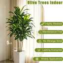 5FT Artificial Dracaena Tree, Large Fake Dracaena Tree Indoor with White Tall Planter and Fake Moss, Faux Yucca Trees Floor Plant in Pot for Living Room Office Indoor Home Decor