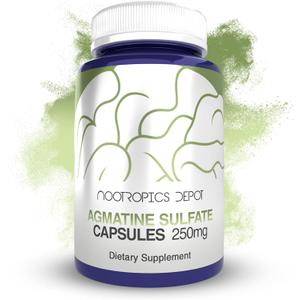Nootropics Depot Agmatine Sulfate Capsules | 250mg | 120 Count | Nitric Oxide & Pump Support | Pre-Workout Amino Acid | Promotes Strength, Energy & Recovery. Bbd 10/2028