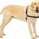 PetSafe Easy Walk No-Pull Dog Harness - The Ultimate Harness to Help Stop Pulling - Take Control & Teach Better Leash Manners - Helps Prevent Pets Pulling on Walks, Large, Black/Silver