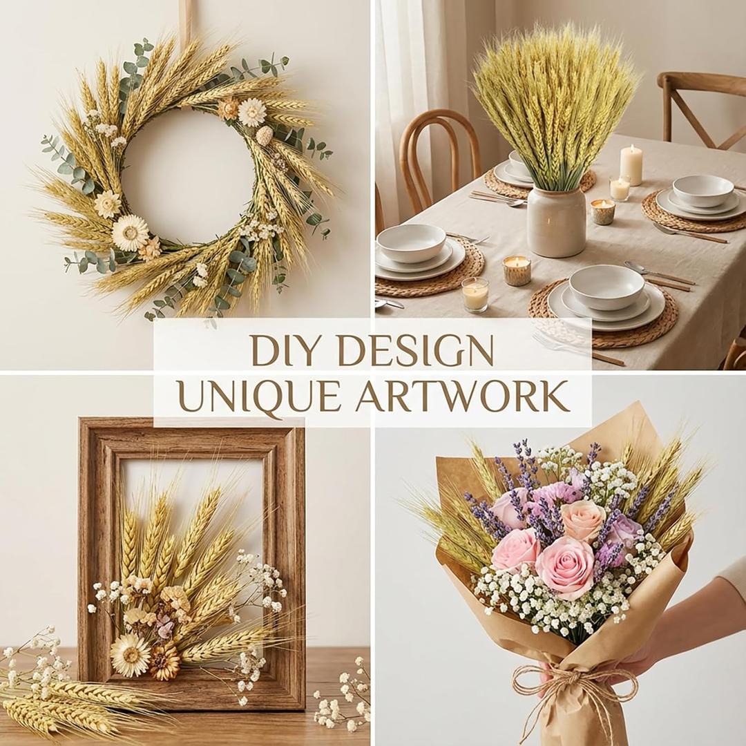 Sukh Dried Flowers for Vase  50 Stems Natural Cyan Wheat Straw Grass 13.3 Inches Grain Ear Dried Wheat Stalks for Decor,Ear Shape Desk Decor,Fall Arrangement DIY