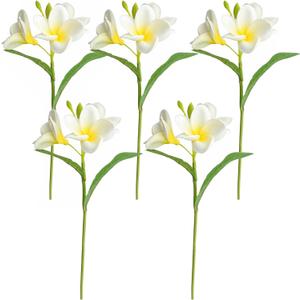 5PCS PU Real Touch Lifelike Artificial Plumeria Frangipani Flower Stems Wedding Home Party Spring Flowers Decoration (White) (White)
