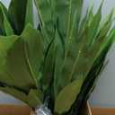 Nearly Natural 48in Dracaena Silk Plant (Real Touch) Green
