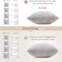puredown Feather Down Throw Pillow Inserts 22 x 22 (Pack of 2, White), Big Throw Pillows for Floor, Couch, Bed, Machine Washable