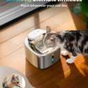 oneisall Wireless Cat Water Fountain, 3.5L/118oz Battery Operated Pet Drinking Fountain Stainless Steel, Running Water Dispenser Fountains for Cats, Cordless&Rechargeable with Motion Sensor(Hale 3.5L)