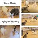 2 x Migipaws 2-in-1 Interactive Cat Toy Ball  Paw Friendly Kicking Chasing Ball with Bonus Fluffy Tail for Indoor Cats Random Rolling Auto Escape Corners Tangle-Free Quiet USB Rechargeable (Blue)