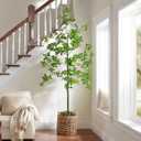 Erimda Faux Black Olive Tree 7ft, Faux Plants Indoor Large Tall Tree Artificial Shady Lady Tree with Natural Wood Trunk & Realistic Leaves, Fake Olive Plant for Home Office Indoor Decor