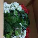 6Pcs White and 9 Pcs Red Silk Hydrangea Artificial Flowers, 20Inch Large Halloween Christmas Lifelike Flowers for Indoor Bouquet Table Centerpieces Floral Arrangements Home Wedding Home