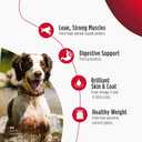 Nulo Frontrunner Dry Dog Food - Adult High-Protein Chicken, Oats & Turkey Recipe, Natural Kibble with Ancient Grains, Probiotics, Taurine, Omega 3 for Small, Medium and Large Breeds, 5lb Bag (EXP 01/05/27)