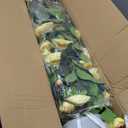 Artificial plant, 3 FT