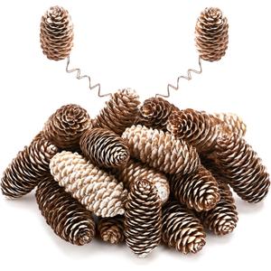 12Pcs Snow Natural Pine Cone Kit with Brown Iron Wires for DIY, 2.2"-3.5" Big Spruce Pine Cones, Rustic Pinecones Decor for Christmas Tree, Wreaths, Crafts, Fall, Wedding, Xmas Home Decor