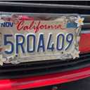 Cruiser Accessories 19130 Daisy License Plate Frame, Chrome/Painted