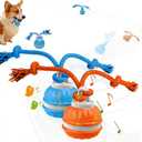 2Pack Interactive Dog Toys for Small Dogs Peppy Pet Ball & Chase Buddy Dog Toy Active Rolling Puppy Toys to Keep Them Busy, Daily Training Interactive Puppy Toys