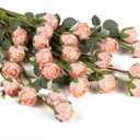 DuHouse 24pcs Artificial Vintage Roses Silk Rose with Stem Fake Rose Bouquets for Arrangement Wedding Centerpiece Party Home Decoration(Gradient Light Pink)