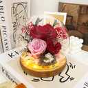 Preserved Flowers Birthday Gifts for Women Forever Rose Gifts for Mom Grandma Wife Valentines Mothers Day Christmas Anniversary Eternal Light Up Red Roses in Glass Dome