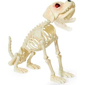 JOYIN Halloween Golden Retriever Skeleton 34” Animal Dog Plastic Skeleton with Glowing LED Eyes & Spooky Sounds, Moving Jaw, Posable Joint for Haunted House, Yard Graveyard, Indoor Outdoor Decor
