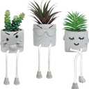 OLEEK Small Fake Plant Office Desk Decor - Desk Plants for Office Decorations for Work - Decorative Plants Decor - Funny Office Decor for Women - Fake Succulents Plants Artificial Home Decor Shelf (collection C (set of 3))