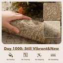 MontVoo-Outdoor Rug-Patio Rug 5x7 ft Polypropylene Indoor Outdoor Rugs Carpet for Patio Deck Balcony Porch, Textured Weave, Durable for High Traffic, Fade-Resistant, Vintage Medallion Neutral Brown