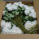 Jexine 100 Pieces Artificial Roses Flowers Bulk, Long Stem Realistic Fake Silk Roses Bouquet for Table Centerpiece Vases Wedding Party Home Kitchen Decor (White)