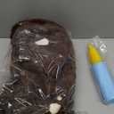 INPANY Bouncy Horse, Bear Hopper Toys, Toddlers Brown Bouncing Animal, Inflatable Plush Bounce Buddies, Kids Ride on Rubber Bouncer, Indoor Outdoor Birthday Gifts Toy for 2 3 4 Year Old Girls Boys