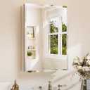 TETOTE 20 x 28 Medicine Cabinet with Mirror with Tempered Beveled Mirror Silver Medicine Cabinet Aluminum Cabinet DTC Hinges, Stepless Adjustable Shelves, Recessed/Surface-Mounted