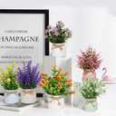Yoratee 6pcs Artificial Pot Flowers Small Fake Plants Mini Potted Plants for Home Office Tabletop Decoration