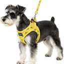 PUPTECK Dog Harness and Leash Set for Small Dogs No Pull Step-in Soft Mesh Puppy Cat Vest Harnesses Reflective at Night, Yellow Bee, S