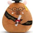 Chalyna 10 Inch 2026 Graduation Gift Capybara Stuffed Animal Plush with Diploma Tassel Graduation Hat Embroidered Blessings Preschool Kindergarten Gift for Student, Friends, Relatives and Kids