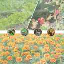 2 Pack Garden Netting for Raised Beds, 4x2FT Raised Bed Plant Covers for Garden Protection, Fine Mesh Bird Netting Pest Barrier Screen with Drawstring and Clips for Protecting Vegetables Fruits Crops