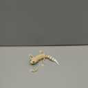 3D Printed Leopard Gecko Figurine, Movable Lizard Sculpture for Home Decor, Realistic Reptile Collectible Desk Ornament, Articulated Gecko Model for Reptile Lovers and Collectors