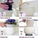African Violet Pots Self Watering  6.5W x 4.6H Ceramic Self Watering Pots for Indoor Plants with Glazed White Outer Pot & Absorbent Inner Pot for Easy Plant Care