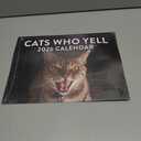 Cats Who Yell Calendar 2026 Monthly Wall Calender 12 Month | American Made In The USA