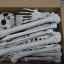 Wocst 5.4Ft/165cm Halloween Skeleton Full Body Life Size Human Bones with Movable Joints for Indoor Outdoor Halloween Props Decorations