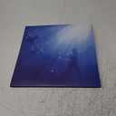 Total Life Forever Vinyl