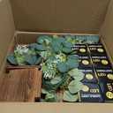 8 Set/24 Pcs Wooden Wedding Lantern Centerpiece Include 8 Wooden Lantern Candle Holder 8 Flameless LED Candle 8 Eucalyptus Leaves Wreath for Centerpieces Wedding Table Party Farmhouse Decor