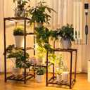 Dreyoo Plant Stand with Grow Lights, Wood Plant Shelf with Full Spectrum Grow Lamp for Indoor Corner, Vintage Multi Layer Lighted Stand for Living Room Balcony Display(7 Potted Shape)