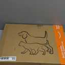 Petskd Top and Side Expandable Pet Carrier 17x11x9.5 Inches Alaska Airline Approved, SoftSided Carrier for Small Cats and Dogs with Locking Safety Zippers and AntiScratch Mesh(Black)