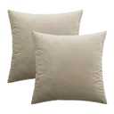 MIULEE Pack of 2 Taupe Velvet Throw Pillow Covers 24x24 Inch Soft Solid Decorative Square Set Cushion Cases for Spring Couch Sofa Bedroom