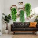 Daifunli 8 Pcs Artificial Hanging Plants Fake Hanging Ferns Plastic Faux Plants for Wall Room Garden Garland Indoor Outdoor Decor No Basket (Boston,Eucalyptus,Ivy Vine,String of Pearls)